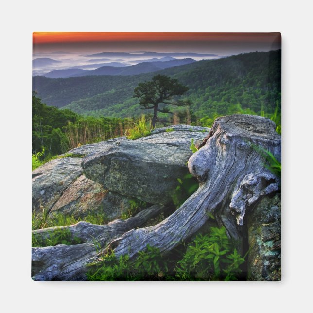 Imán Estados Unidos, Virginia, Parque Nacional Shenando (Frente)