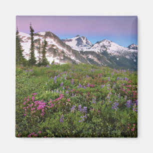 Imán Estados Unidos, Washington, Montañas Cascade, Nor