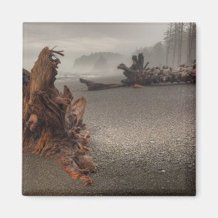 Imán Estados Unidos, Washington, Parque Nacional Olímp