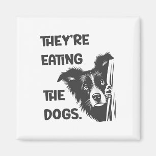 Imán Están Comiendo A Los Perros Elecciones En Ee.Uu. T