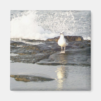 Imán Estancamiento estable