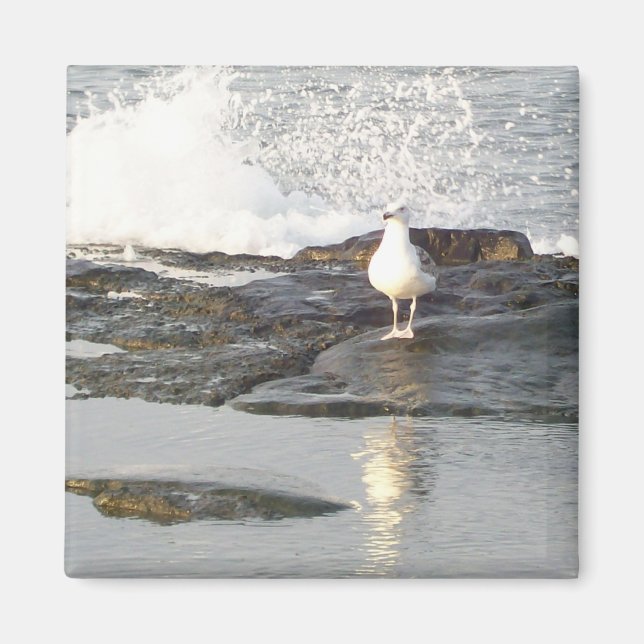 Imán Estancamiento estable (Frente)