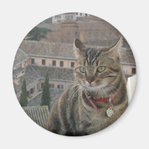 Imán Estándar De Fotografía De Gato, Magnet Redondo De 