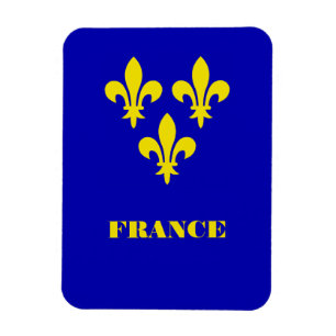 Imán Estandarte Real Francés Medieval Fidelidad Heráldi
