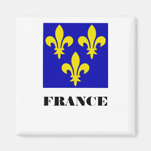 Imán Estandarte Real Francés Medieval Fidelidad Heráldi