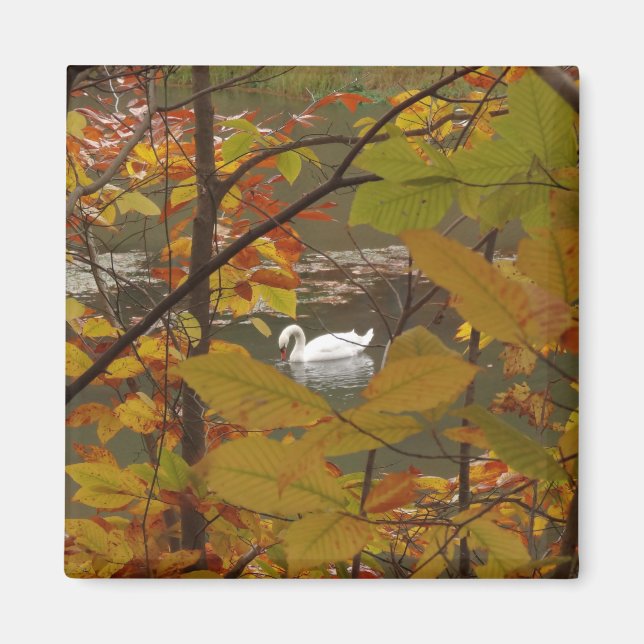 Imán Estanque de otoño con cisne (Frente)