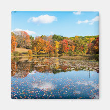 Estanque rodeado de coloridos Árboles caducifolios