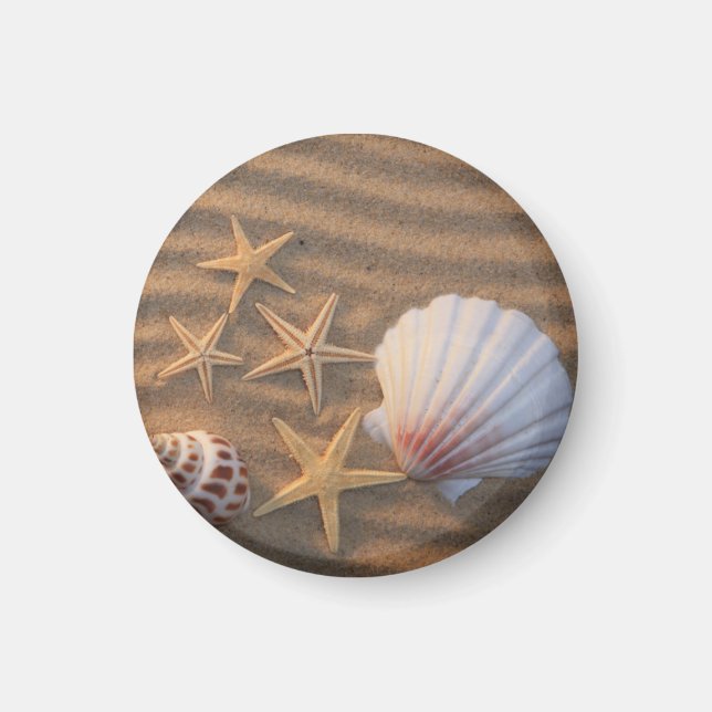 Imán Estanques De Mar Y Starfish (Frente)