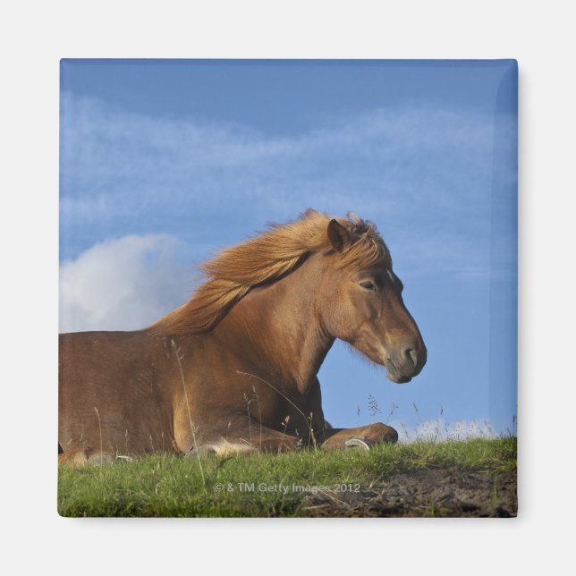 Imán Estanques y cielos islandeses (Frente)