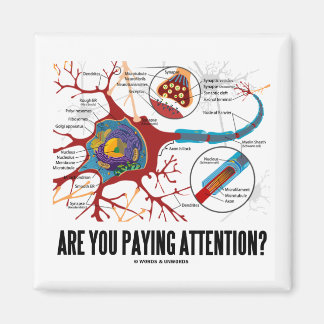 Imán ¿Estás Prestando Atención? (Humor de Neuronas Sina