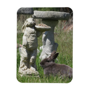 Imán Estatua de conejo y Bunny comedero para pájaros