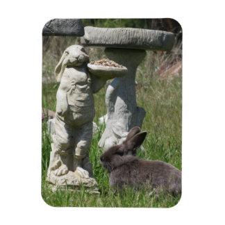 Imán Estatua de conejo y Bunny comedero para pájaros