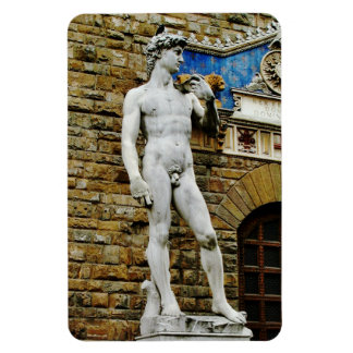 Imán Estatua de David Florence Italia
