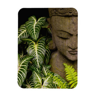 Imán Estatua en un jardín Información de ubicación: Mam