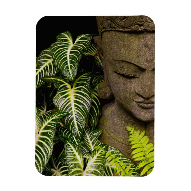 Imán Estatua en un jardín Información de ubicación: Mam (Vertical)