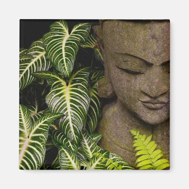 Imán Estatua en un jardín Información de ubicación: Mam (Frente)