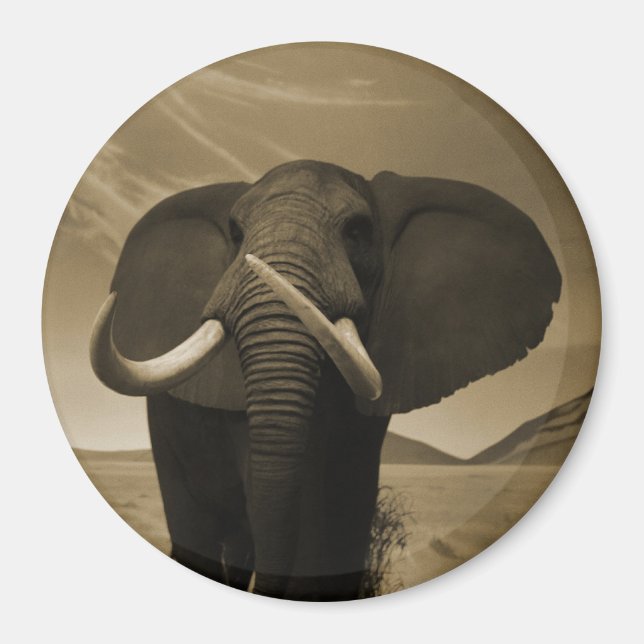 Imán Estatura majestuosa (Frente)