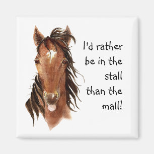 Imán Esté bastante en la parada que humor del caballo