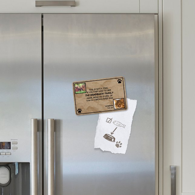 Imán Este no es un gato fotográfico Chiste (Subido por el creador)