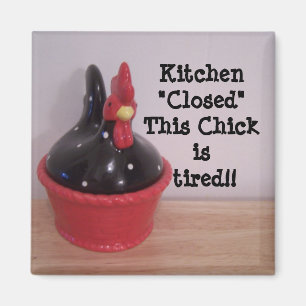 Imán ¡Este polluelo está cansado!!