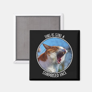 Imán Este todavía es un meme divertido para gato