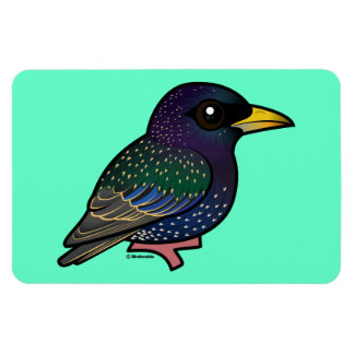 Imán Estelar europeo Birdorable