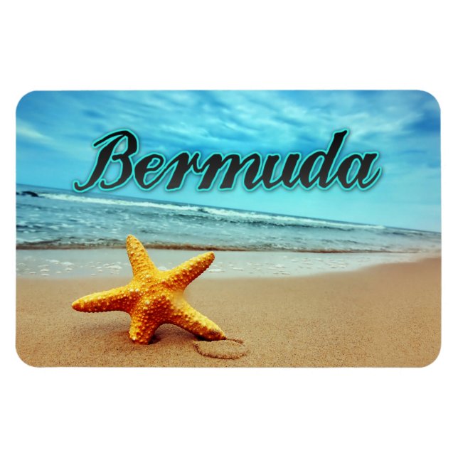 Imán Estepa bermuda (Horizontal)