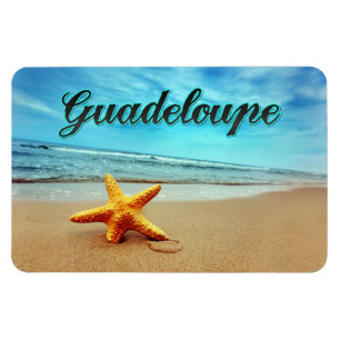 Imán Estepa guadalupana