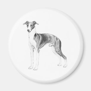 Imán Estilo del galgo italiano