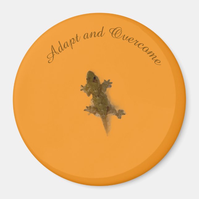 Imán Estilo Lagarto (Frente)