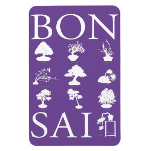 Imán Estilos básicos del árbol Bonsai