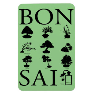 Imán Estilos básicos del árbol Bonsai