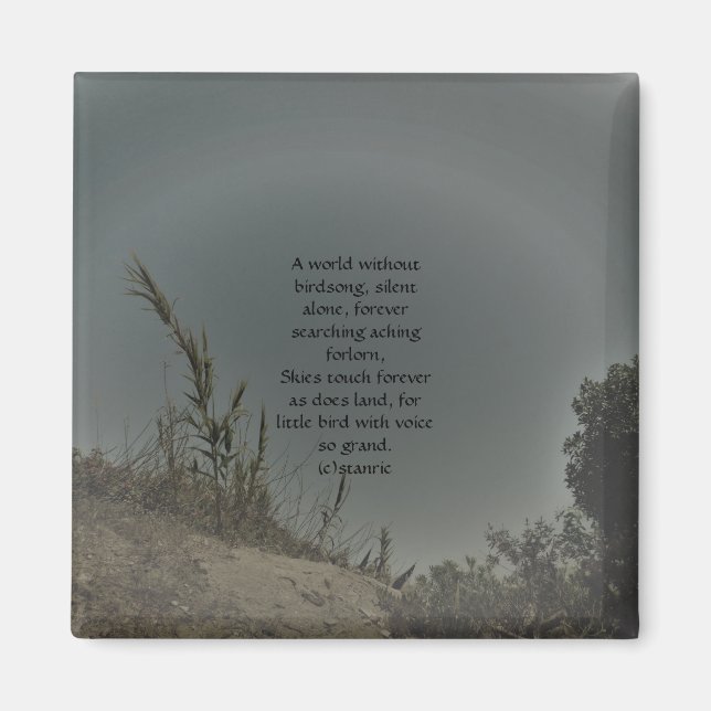 IMÁN ESTILOS DE DECORACIÓN DE ARTE Y DISEÑO DE MAGNET (Frente)