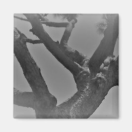 IMÁN ESTILOS DE DECORACIÓN DE ARTE Y DISEÑO DE MAGNET