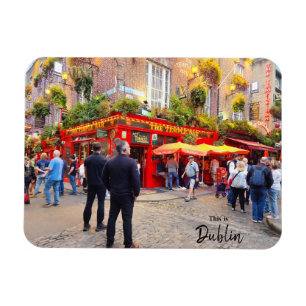 Imán Esto es Dublín-Irlanda