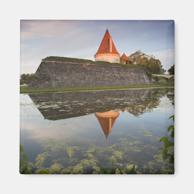 Imán Estonia, islas occidentales de Estonia, Saaremaa (Frente)