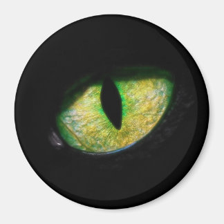 Imán Estou de olho em você