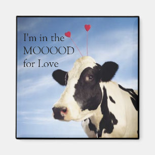 Imán Estoy en el Mooood para el amor