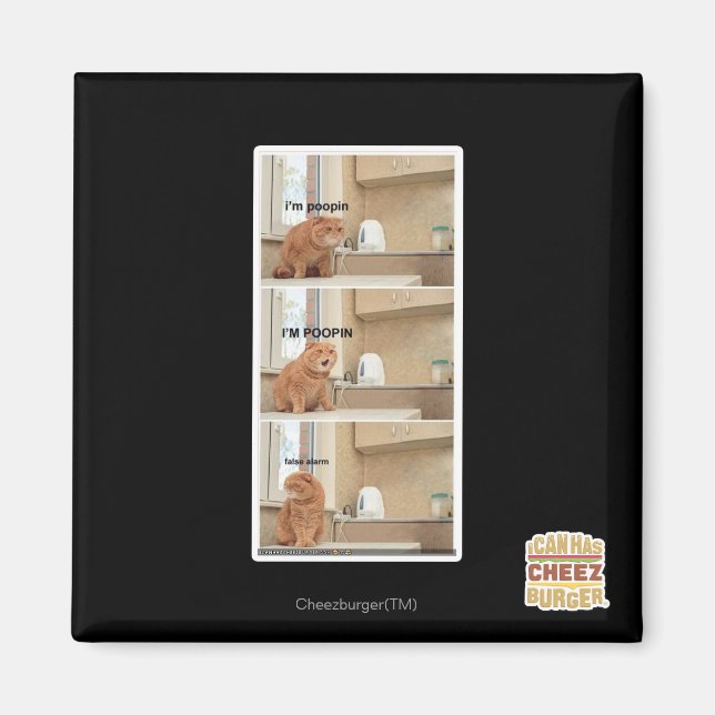 Imán ¡Estoy en el popin! (Frente)