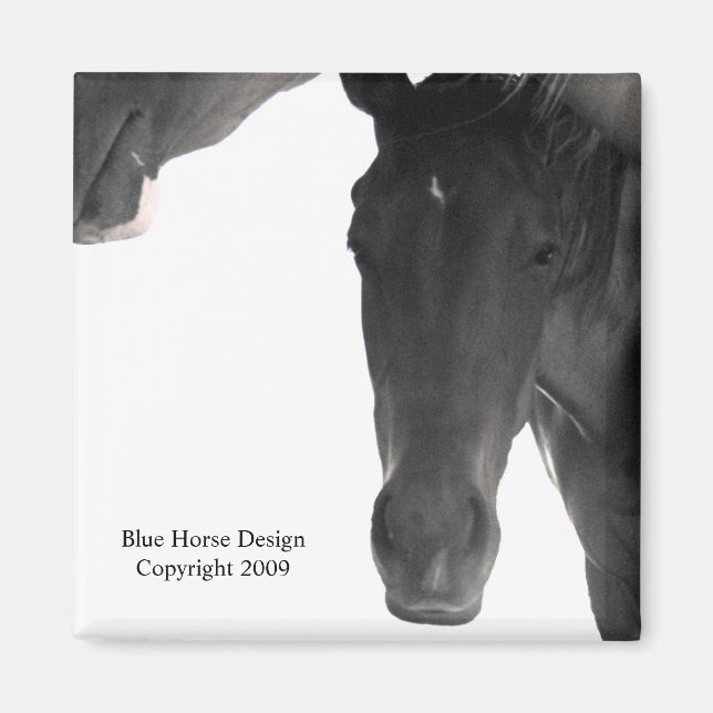 Imán Estoy intentando dormir aquí (Frente)