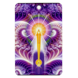 Imán Estoy Presente Fractal Flexi Magnet