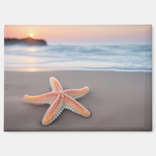 Imán Estrella de mar tendida en una playa