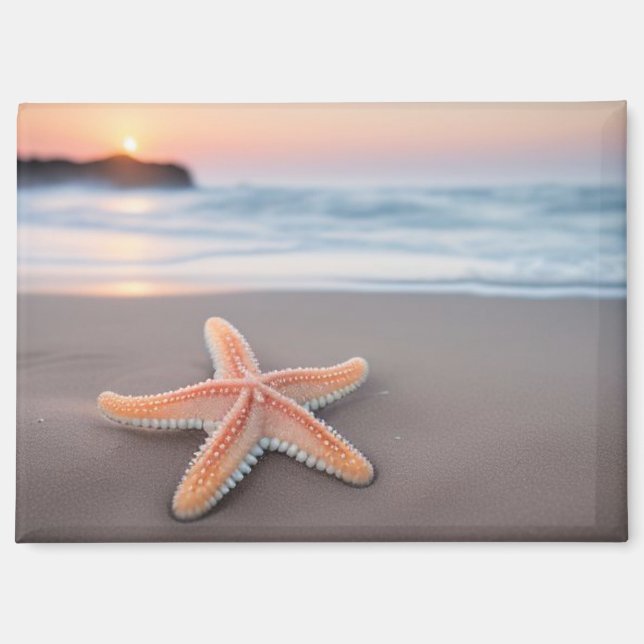 Imán Estrella de mar tendida en una playa (Anverso)
