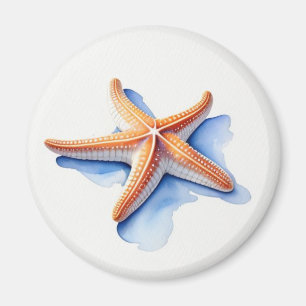 Imán Estrella de mar y silueta azul