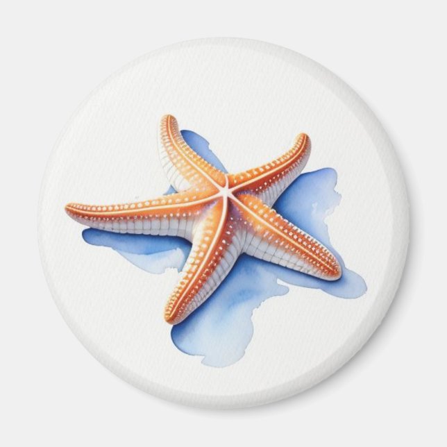 Imán Estrella de mar y silueta azul (Frente)