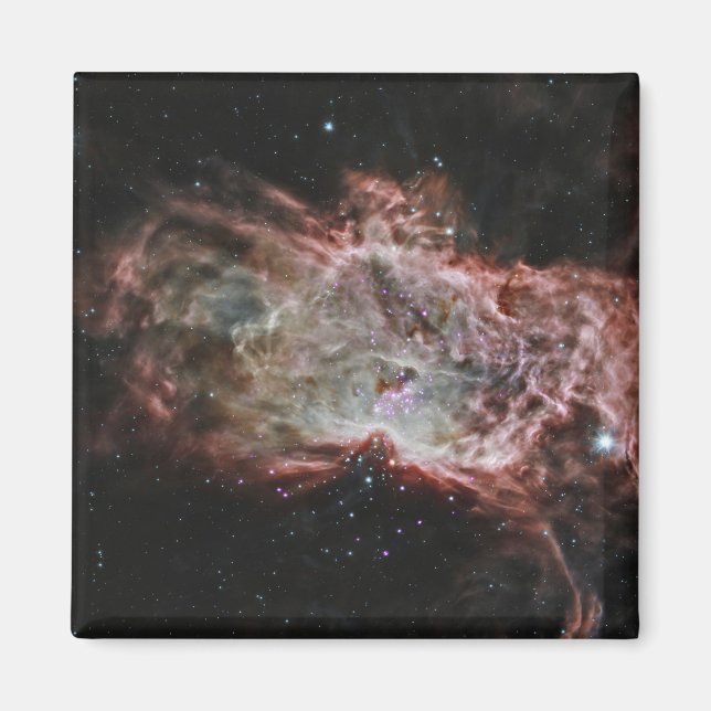 Imán Estrella En El Centro De La Nebulosa De La Llama. (Frente)