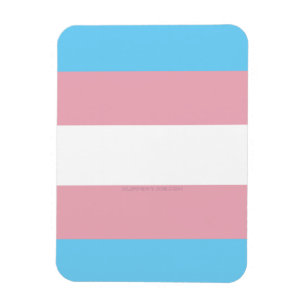 Imán Estrella transgénero de la diversidad del orgullo 