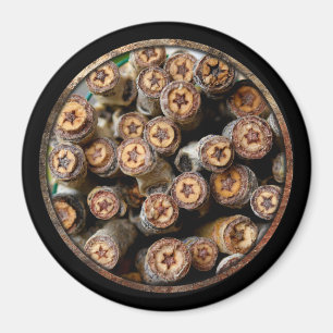 Imán Estrellas a lo largo de los bosques de algodón de