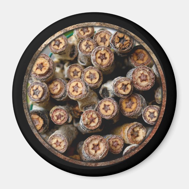 Imán Estrellas a lo largo de los bosques de algodón de  (Frente)