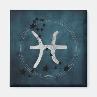 Imán Estrellas de constelación de zodiaco negro y plata